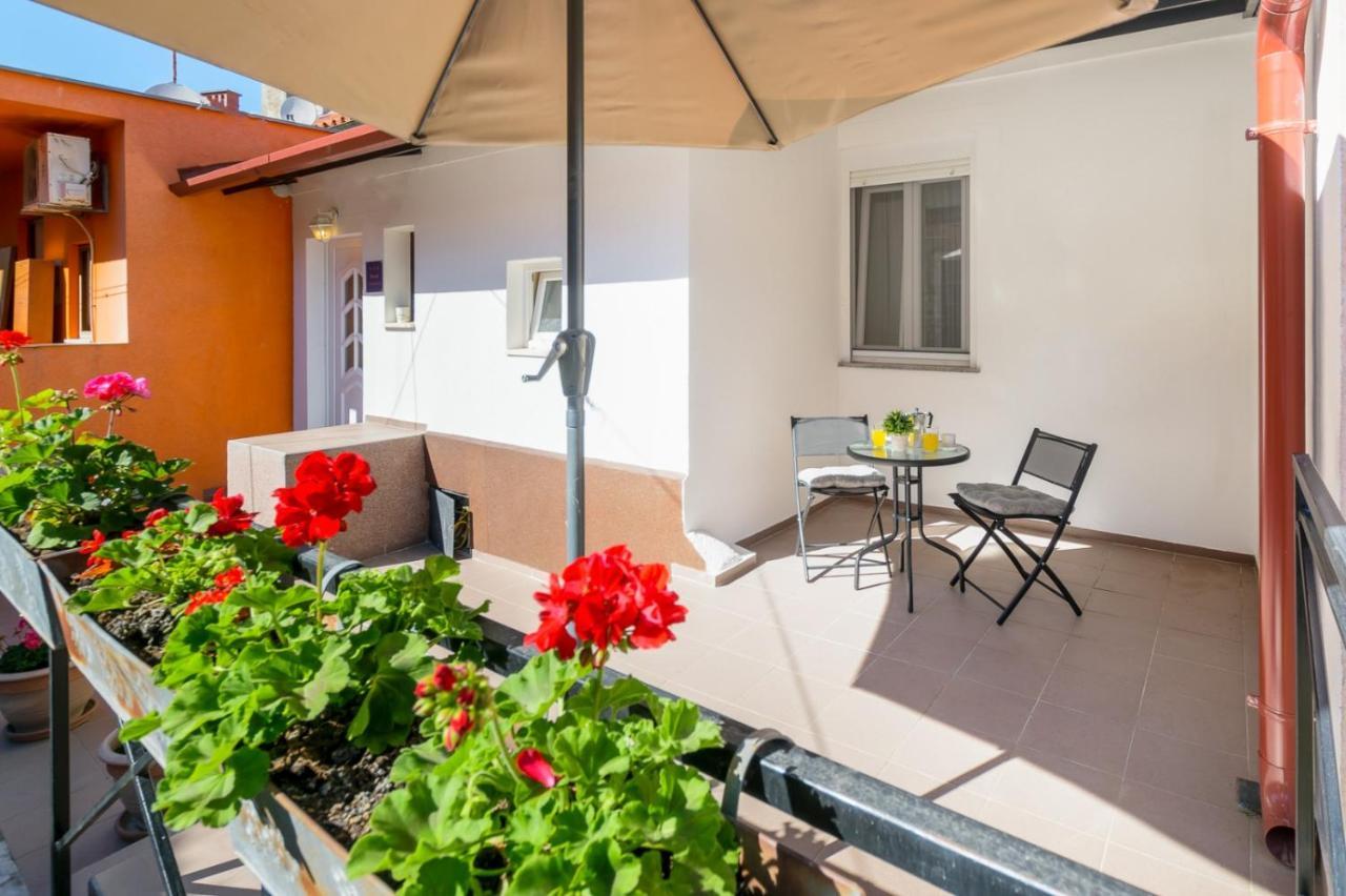 Charming Apartment In Town Center PUY 외부 사진